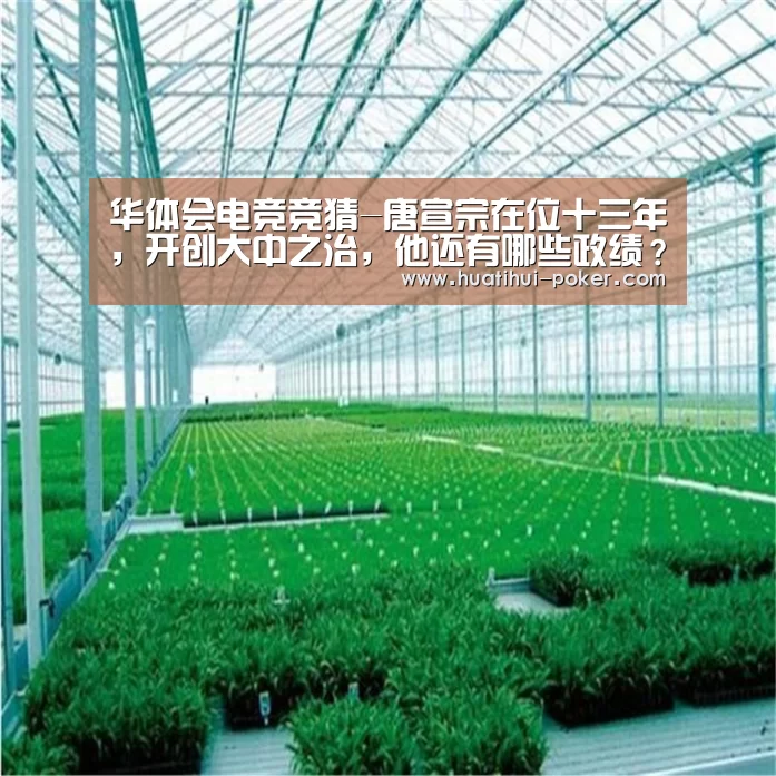 华体会电竞竞猜-唐宣宗在位十三年,开创大中之治,他还有哪些政绩?(图3) 华体会电竞直播